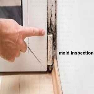 mold inspection Glen Rose