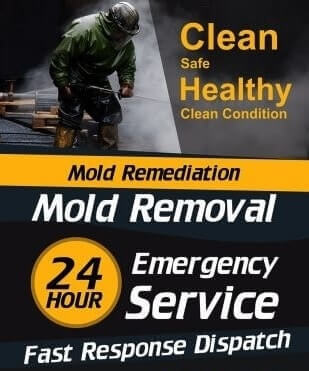 mold inspection Glen Rose