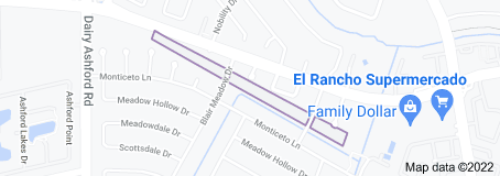 Meadow Park Meadows Place,Texas <br><h3><a href=