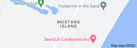 Mustang Island Corpus Christi,Texas <br><h3><a href=